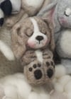 Puppy Lovey preorder 