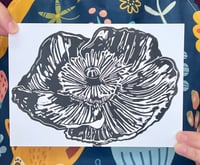 Image 1 of Poppy