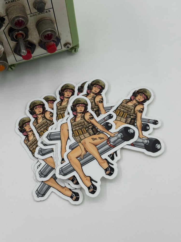     Pin-Up Payload