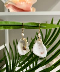 Image 1 of Oyster Shell Earrings E127