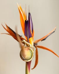 Image 2 of DOGGY DOG