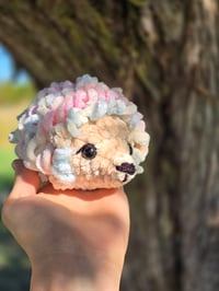 Image 5 of Hazel The Hedgehog 