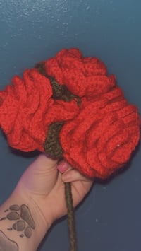 Image 1 of Everlasting Roses 
