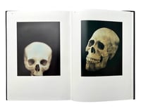 Image 4 of Adam Fuss - Photograms Of Life And Death