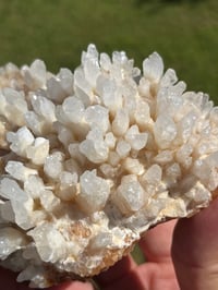 Image 5 of Calcite Crystal Reef Formation Specimen #1241