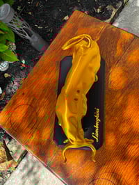 Image 3 of Lamborghini Bull Display with Stand