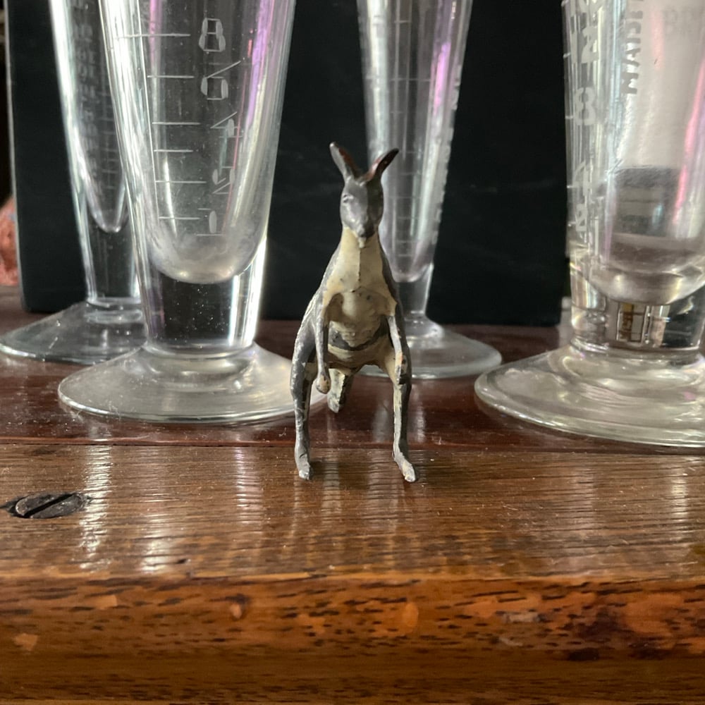 Image of Kangaroo