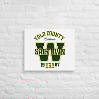 YOLO COUNTY W SAC (20"x24" WHT)