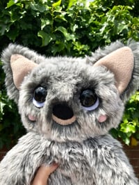 Image 2 of Riri the Jumbo Wolf