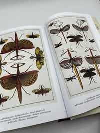 Image 2 of Seba. Cabinet of Natural Curiosities. 45th Ed.