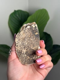 Image 3 of DENDRITIC FELDSPAR -ITALY- A