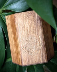 Image 1 of Wooden Hexagon Tool Cup