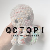 Image 1 of Octopi