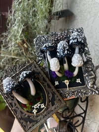 Image 3 of Inky cap frame led