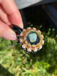 Image 1 of Opal Shells