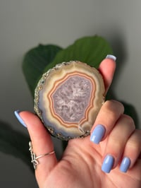 Image 2 of DOUBLE SIDED QUARTZY LAGUNA AGATE SLICE N