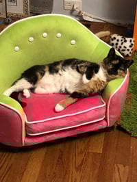 Image 1 of Custom Order Deposit for Rowan