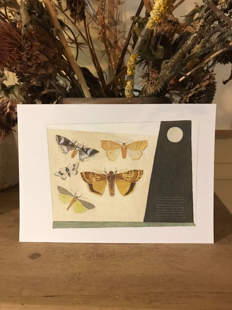 Image of Moon moths giclee print 