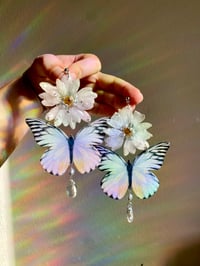 Image 1 of 🤍Daisy Pearl Butterflies🤍