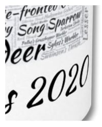 Image 4 of Megas 2020 Mug