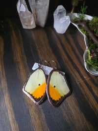 Image 3 of Butterfly Wing Earrings (yellow)