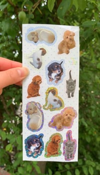Image 1 of fluffy friends