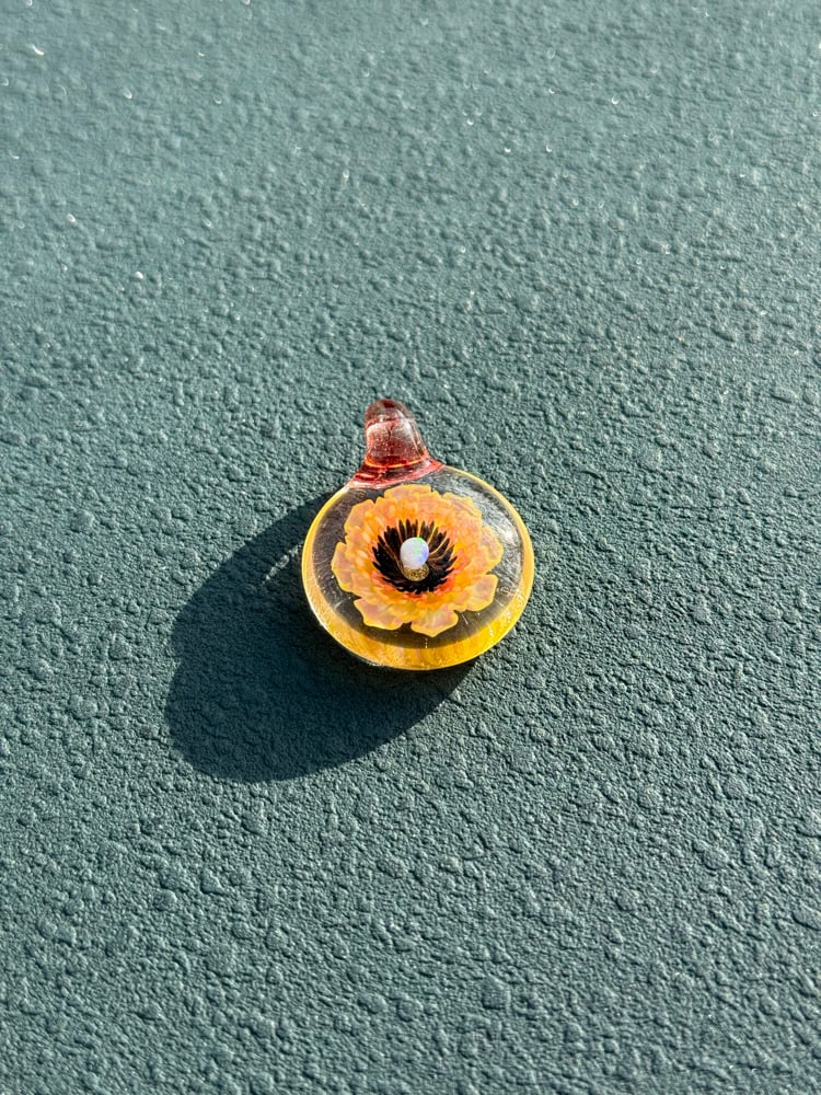 Image of  Pink and yellow opal flower