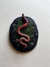 Image 3 of Worm and Pebbles: Small wall art