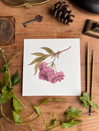 Image 1 of Blossom Original Painting