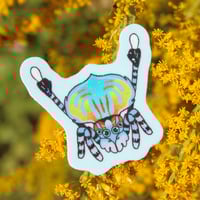 Image 1 of Mini Peacock Jumping Spider 1.5” Sticker