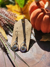 Image 1 of Pick of the Patch