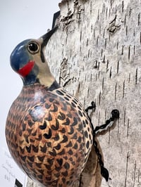 Image 5 of Flicker - Elizabeth Paxson 