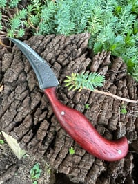 Image 2 of PADAUK GEN2 DRAUG