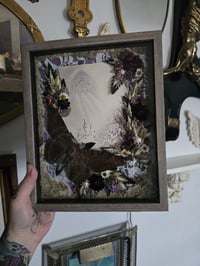 Image 3 of In Sympthay 