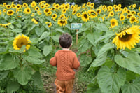 Image 5 of Aran Sweater Kids - Made in Europe