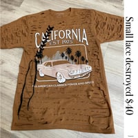 Small California brown lace destroyed