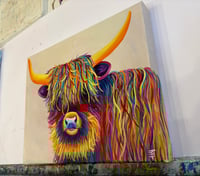 Image 2 of Harry the Highland 