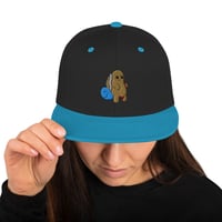 Image 1 of Burtle Snapback Hat