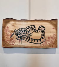 Image 1 of Snakes on a plank 