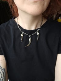 Image 5 of 3 Pheasant toe necklace