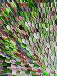 Image 3 of 'From the seed, outwards' - 76x76cm