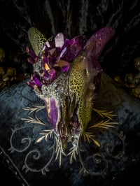 Image 1 of Purple Quartz & Carborundum - Goat Skull 