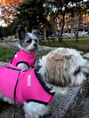 Winter Fashion Fuchsia Vest