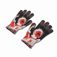 Image 2 of Gore Gloves 