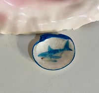 Shark Ring Dish CT104