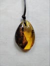 Baltic light and dark Amber pendant with cord 