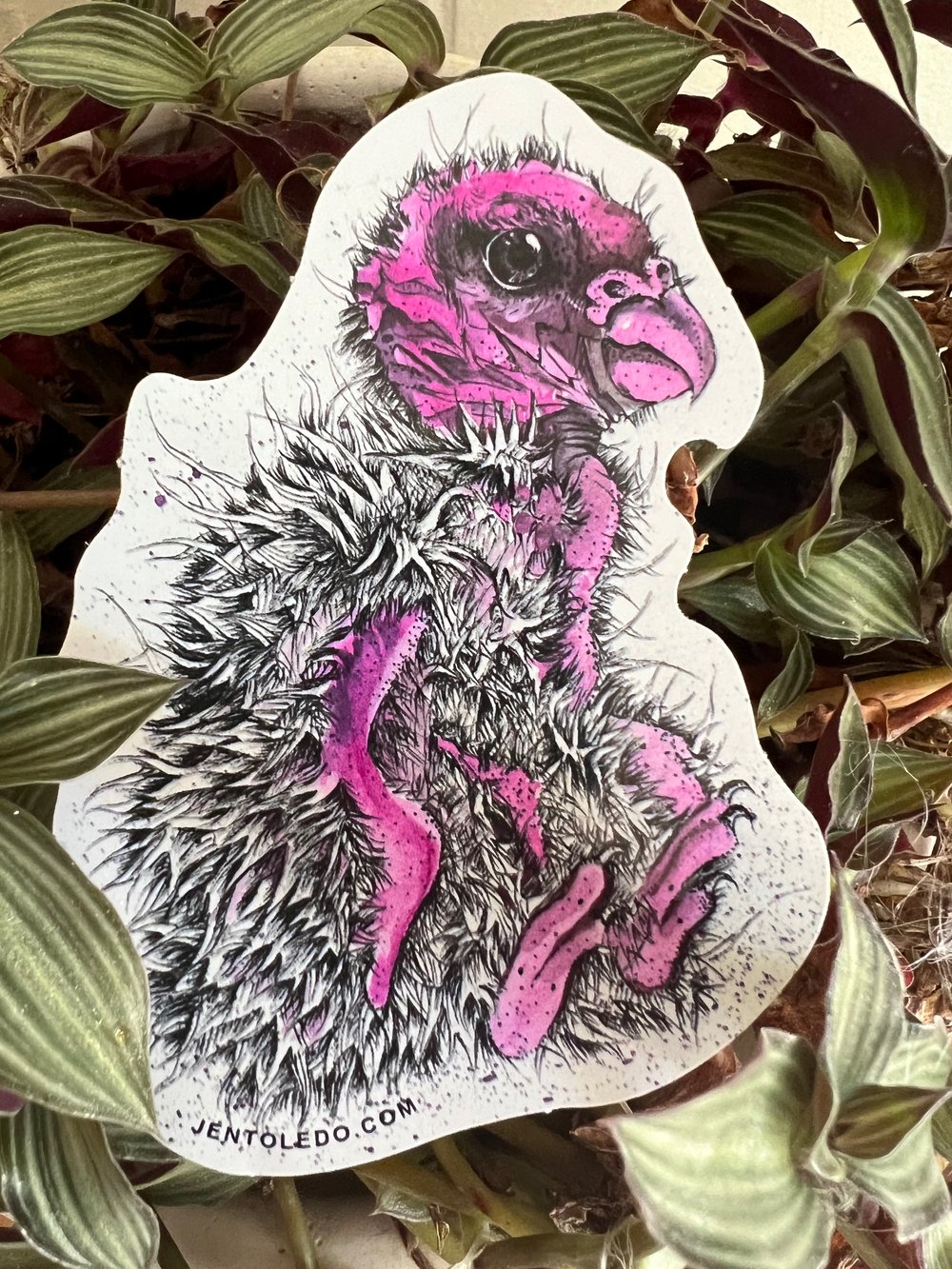 Image of Vulture Baby Sticker