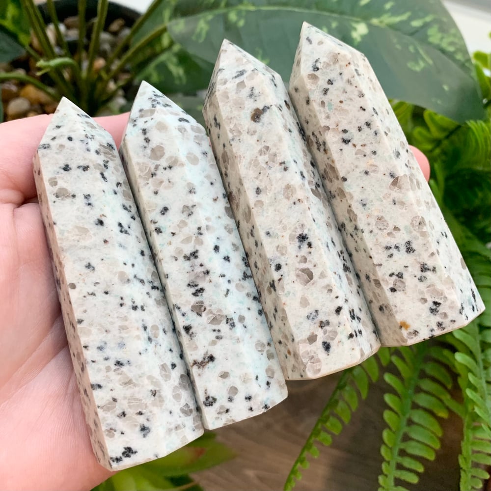 Kiwi Jasper Tower