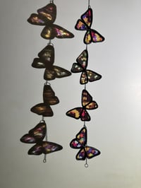 Image 1 of Butterfly V5