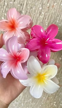 Image 5 of 4 Pack of Iconic Clips